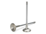 Supertech Exhaust Valve
